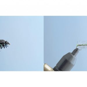 Hanneton + Chenille verte