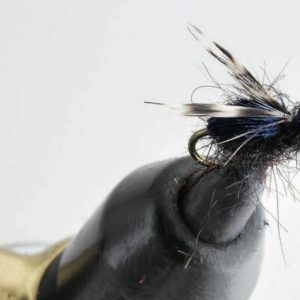 Mouche de maison ou mouche à m....