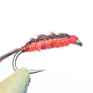 Hommage à Raymond Rocher et à sa “pheasant and orange”