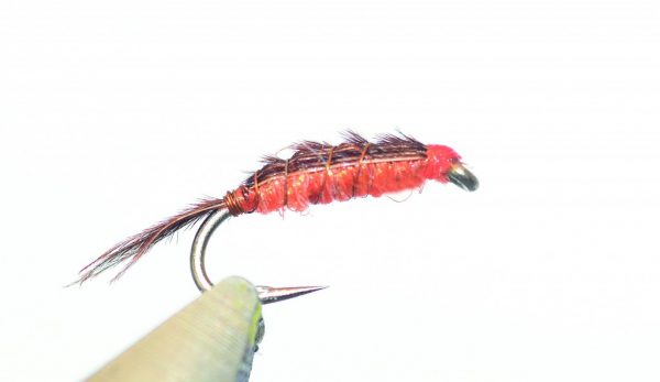 Hommage à Raymond Rocher et à sa “pheasant and orange”