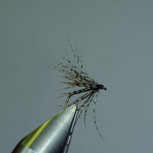 La “saule” de Henri Bresson