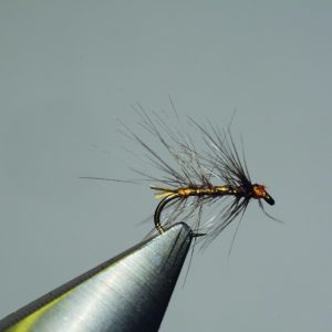 La sauvage de Henri Bresson