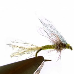 Émergente - variante avec aile en Z-Lon