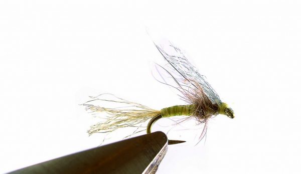 Émergente - variante avec aile en Z-Lon