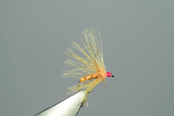 La Cul de Canard de Henri Bresson