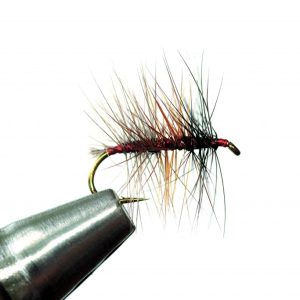 La French Tricolore de Henri Bresson