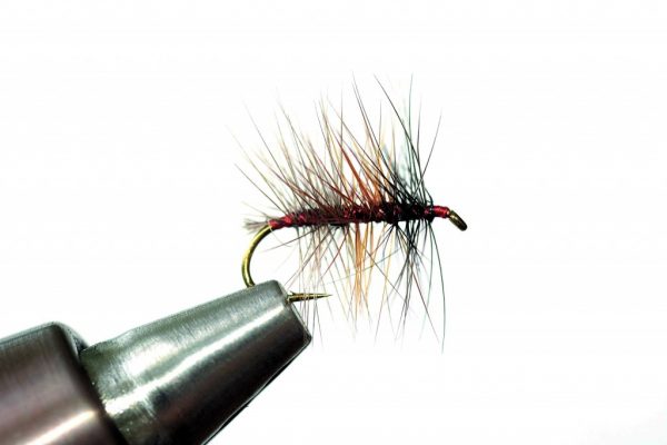 La French Tricolore de Henri Bresson