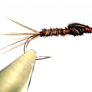 La pheasant tail