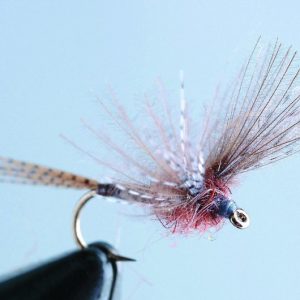 Émergente "Brune de mars"