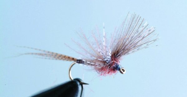 Émergente "Brune de mars"