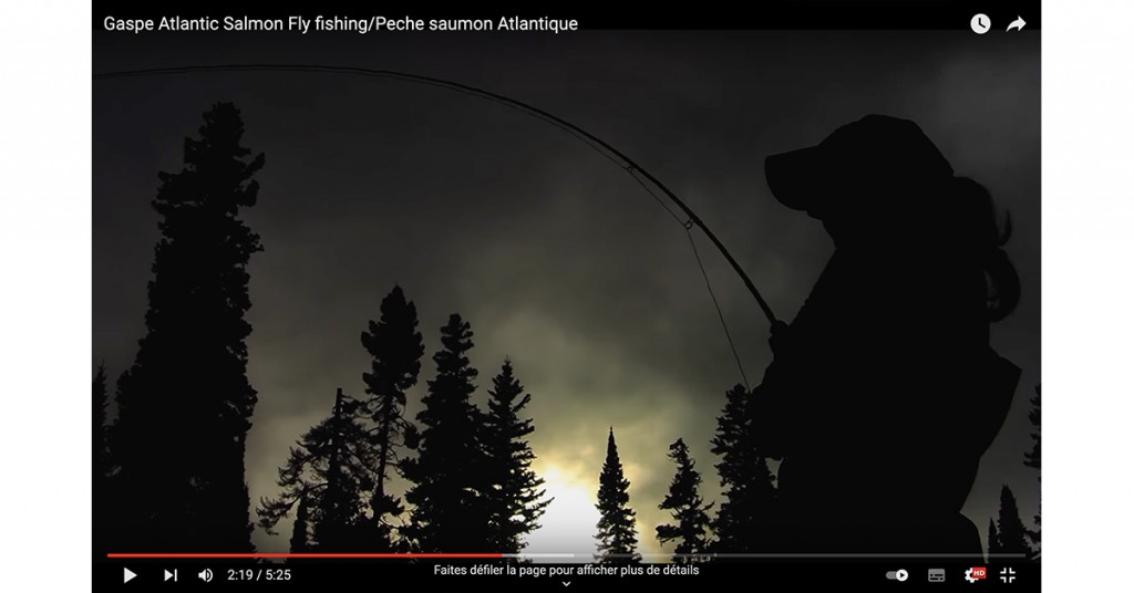 Pêche du saumon Atlantique sur les rivières de la Gaspésie