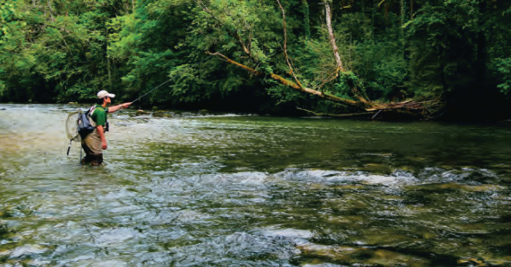 Législatives – Un billet d’humeur de Philippe Koeberlé