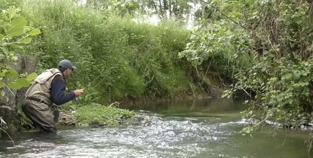 Pêches Sportives n° 67 : Pêche à la mouche sèche en petites rivières très encombrées avec Mickaël Delaunay