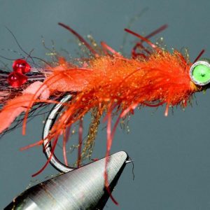 Puglisi tarantula crab