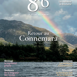 8’6 numérique n°19