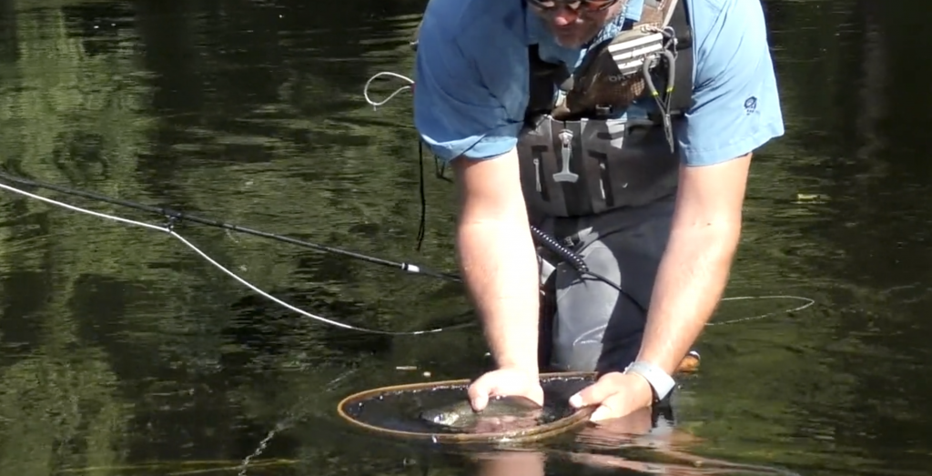 Pêches Sportives n° 68 : A la découverte de la Dordogne corrézienne avec Grégoire Ribert