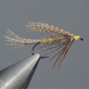 Danica mouche noyée