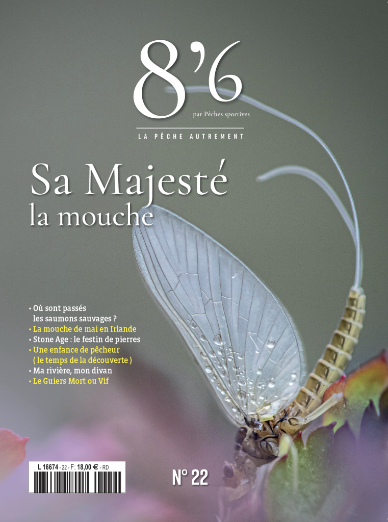 8’6 numérique n°22