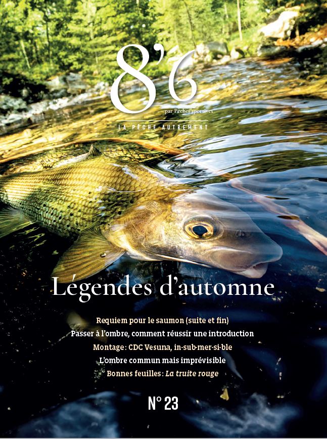 8’6 numérique n°23