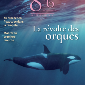 8’6 numérique n°24