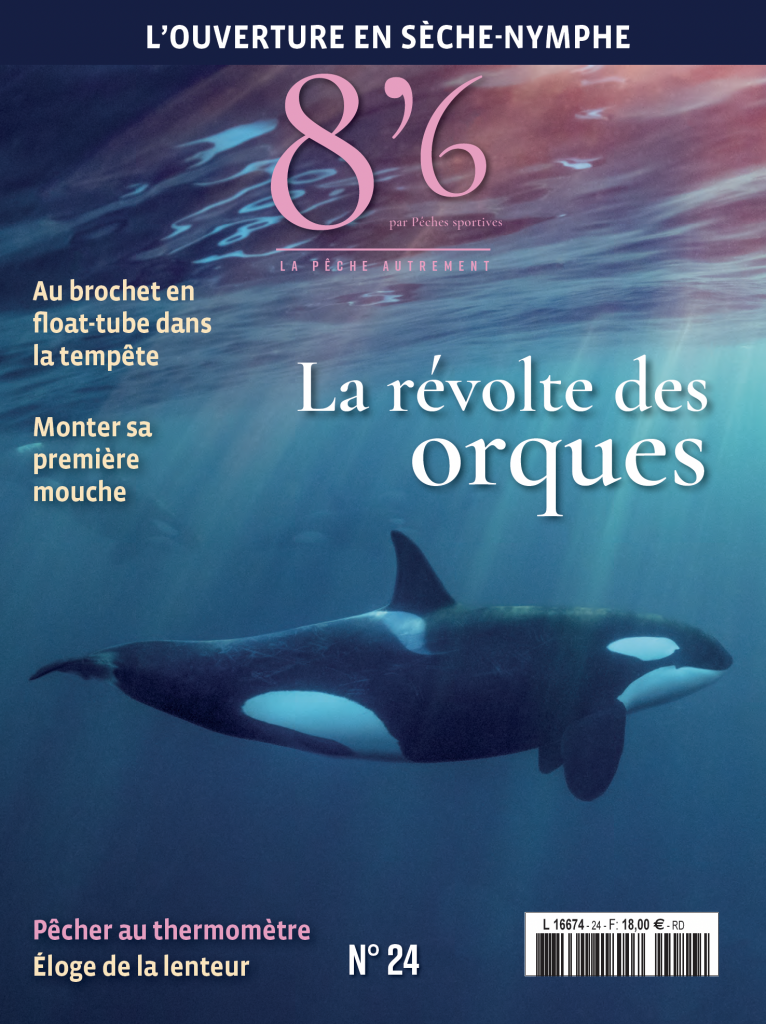 8’6 numérique n°24
