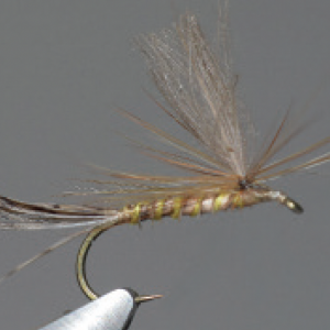 March Brown Parachute