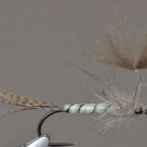 L’ombrelle version nymphe de mai