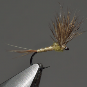 March Brown comparadun