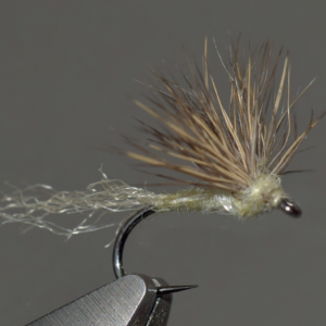 Comparadun stillborn