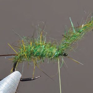 Gammare pour la pêche de l’ombre