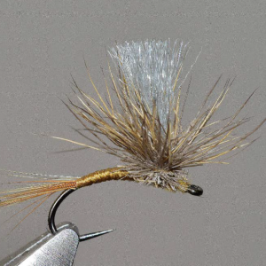 MONTAGE Sedge "cul dans l'eau"