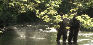 Fish On Productions, le dvd !