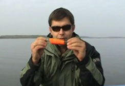 La carotte, ça rend aimable !