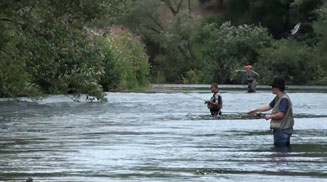 Sure Luxembourgeoise