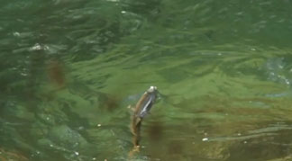 9 minutes de bonheur…