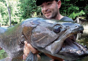 Le Boucher du Sinnamary