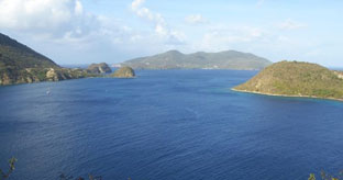 Antilles françaises : 4 sites ont reçu le label d’Aires spécialement protégées