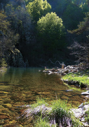 L&rsquo;exemple de l&rsquo;Ardèche