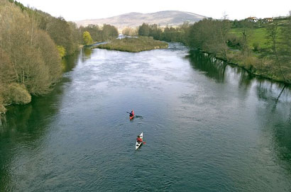 Une initiative originale pour la protection du saumon