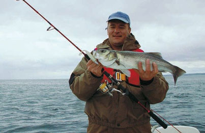 La pêche du bar au leurre souple en profondeur