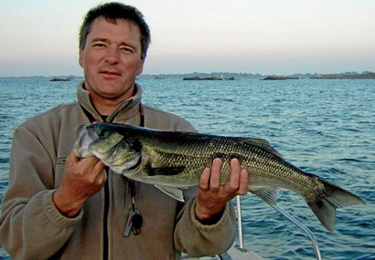 Technique : le bar au leurre de surface