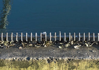 Barrage sur la Sélune : lettre ouverte à NKM