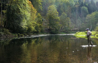 Mouche : vers une autre conception du bas de ligne progressif