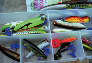 Lire une boîte de leurres