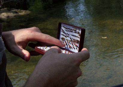 Les sept familles de la pêche – Le méfiant