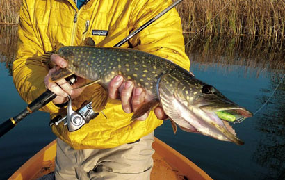 Leurres à brochet : les 50 indispensables