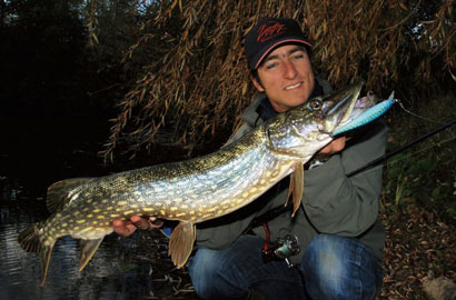 Aux leurres… faites une pause !