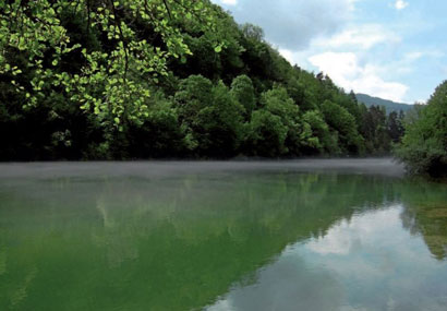 Température d’eau et poissons, un équilibre fragile et complexe