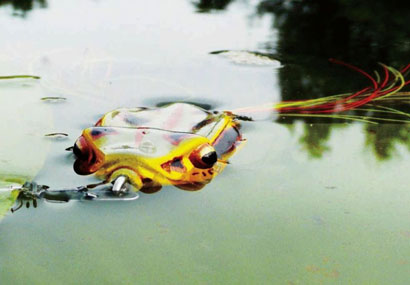 Pêche aux leurres, les solutions anti-herbes