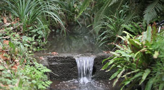 Journée de l&rsquo;eau